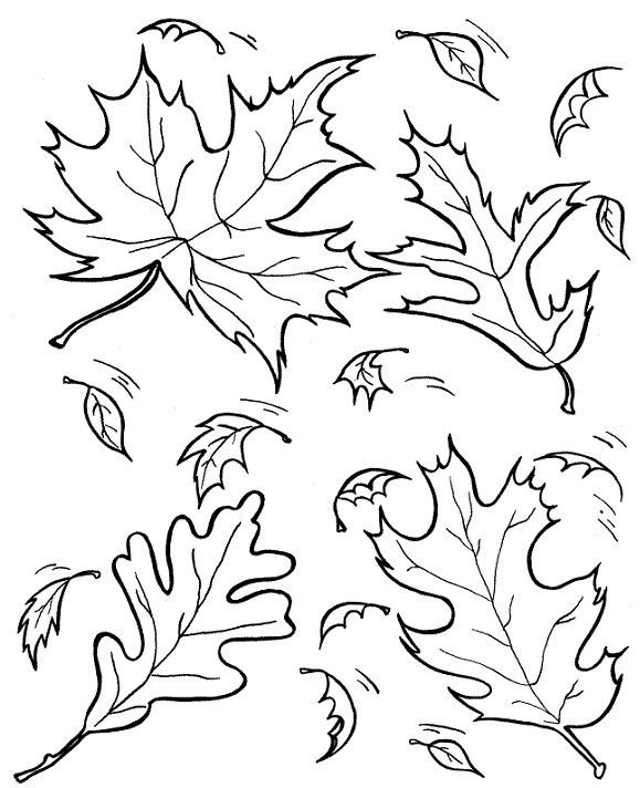 Трафарет осенних листьев