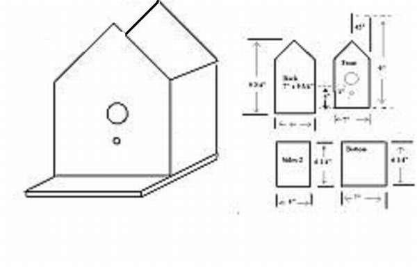 Чертёж скворечника с размерами из дерева для Скворцов