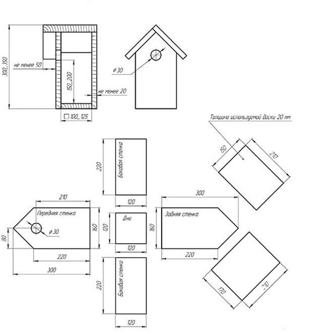 Скворечник своими руками чертежи с размерами для Скворцов
