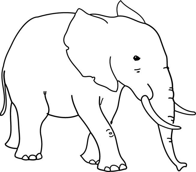 Слон раскраска