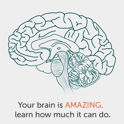 Головной мозг раскраска