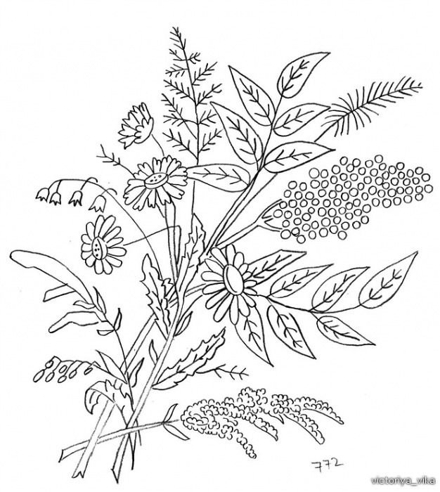 Трафарет полевых цветов для вышивки