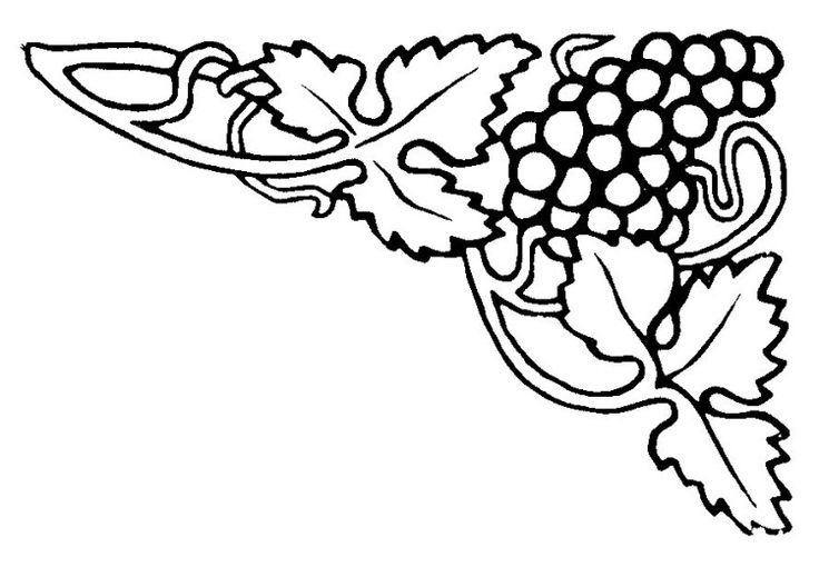 Геральдическая Виноградная лоза