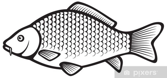 Вобла и Карп