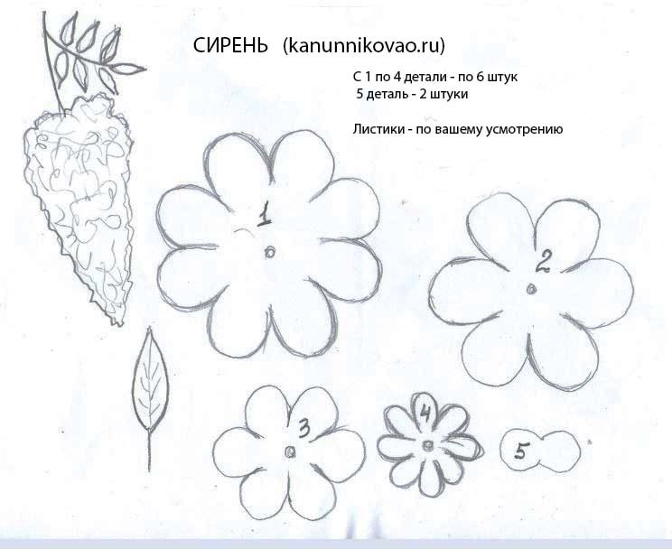 Трафареты для цветов из фоамирана