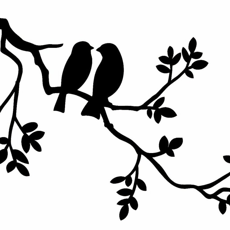 птицы красные