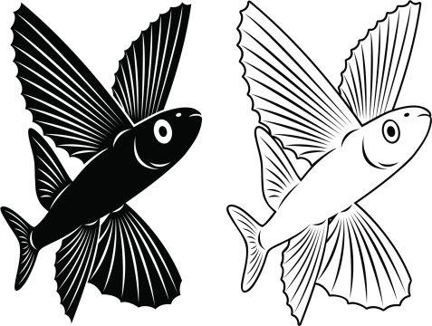 Трафарет летучая рыба для декора