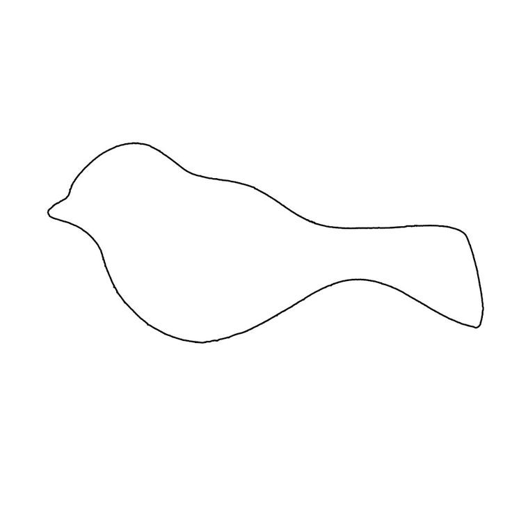 Птица контур