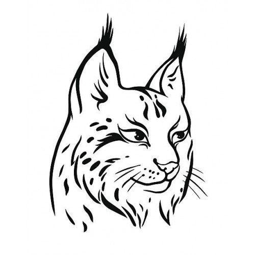 Рысь силуэт