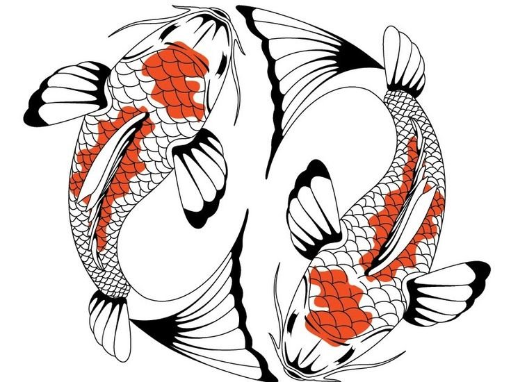 Карпы кои Инь и Янь