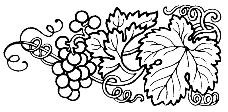 Орнамент лоза винограда