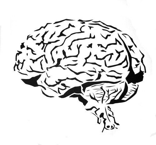Головной мозг трафарет