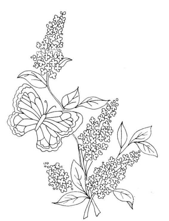 Раскраска цветы сирень