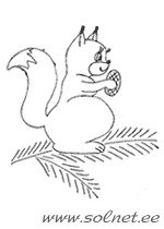 Белочка раскраска для детей