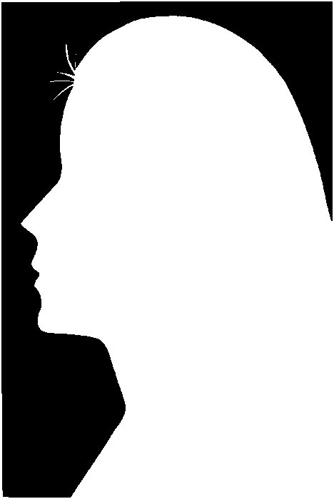 Силуэт лица