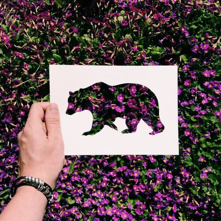 Фон силуэты животных