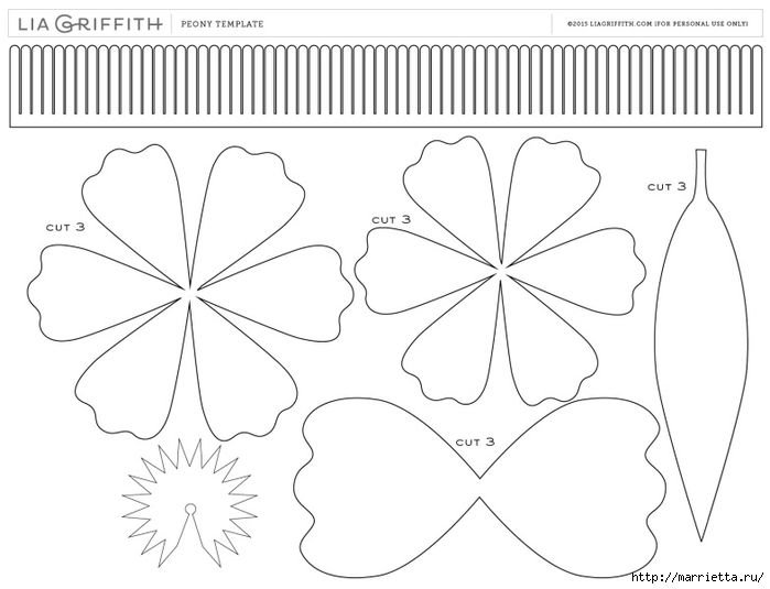 Цветы из бумаги трафарет