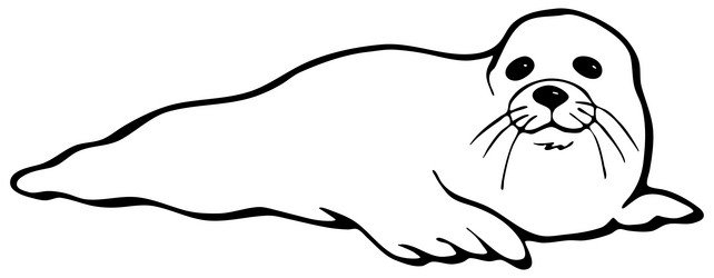 Байкальская Нерпа вектор