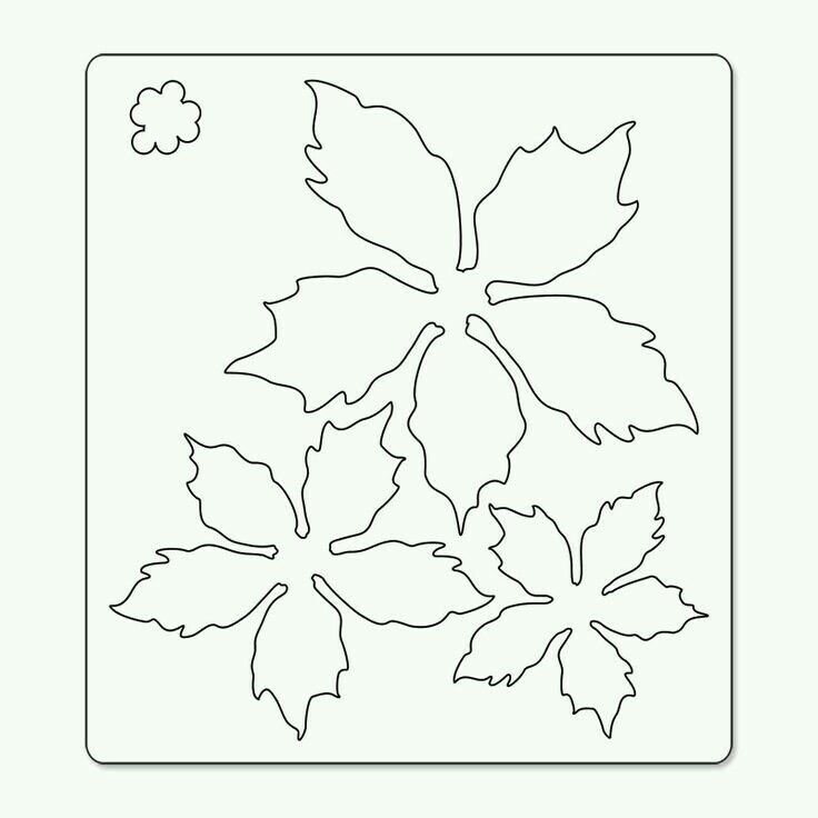 Пуансеттия трафарет