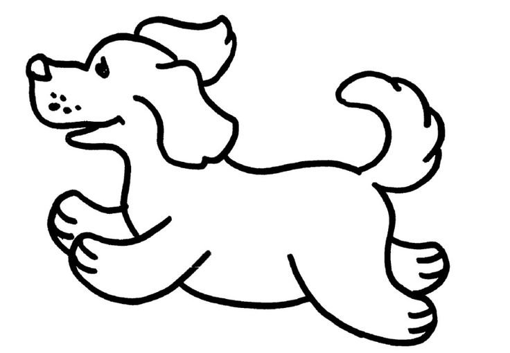 Раскраска "собаки"