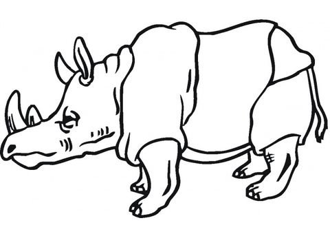 Носорог раскраска
