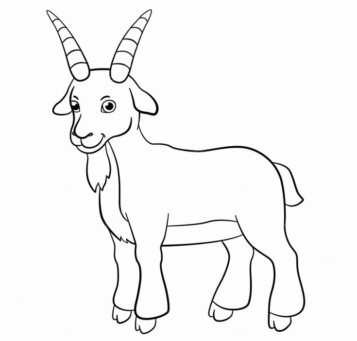 Коза раскраска для детей