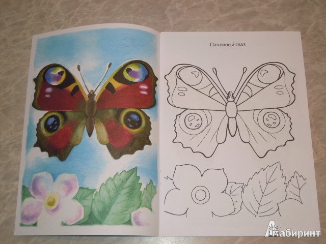 Бабочка павлиний глаз трафарет