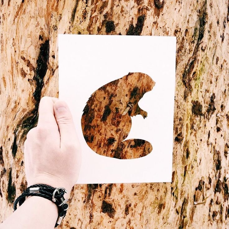 Фото через трафарет природа