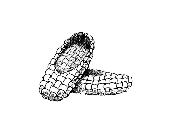 Лапти рисунок для детей