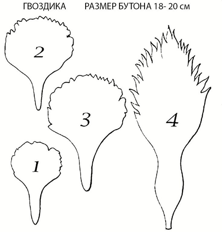 Шаблоны цветов для поделок