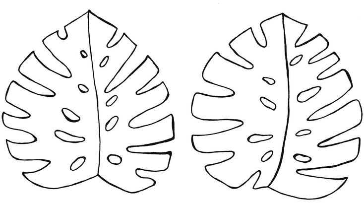 Трафареты "листья"