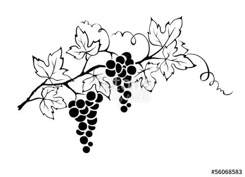 Виноградная лоза DXF