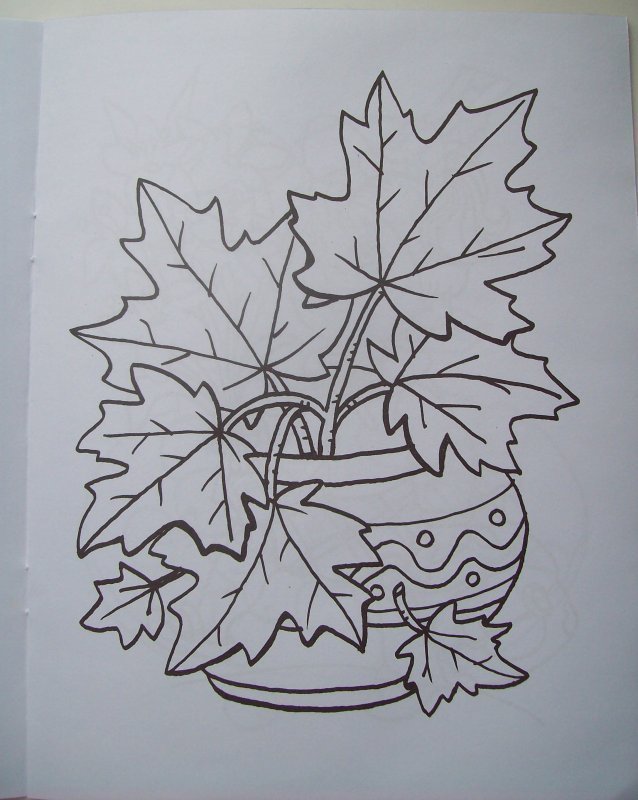 Осень Краса раскраска