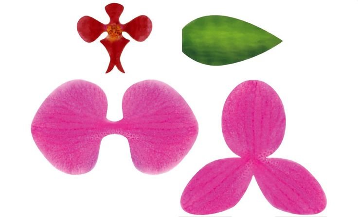 Орхидея из бумаги