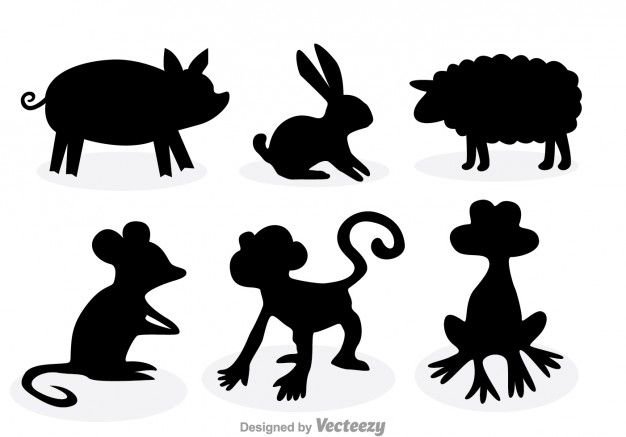 Очертания животных