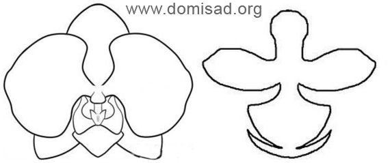 Выкройка орхидеи