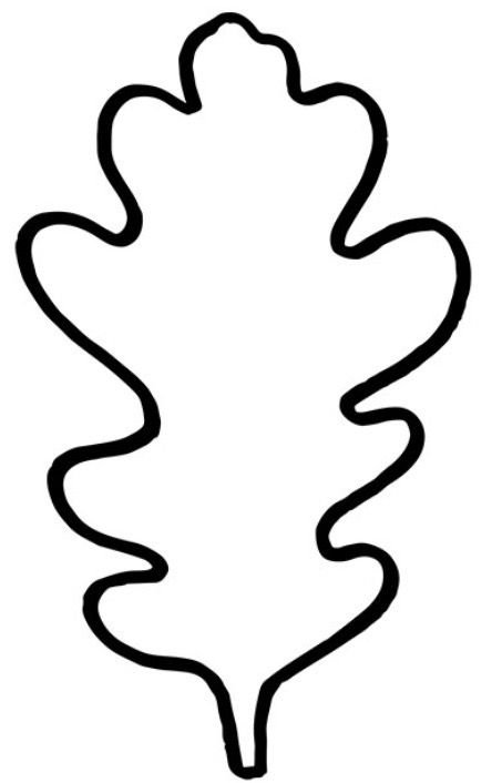 Дубовый лист контур