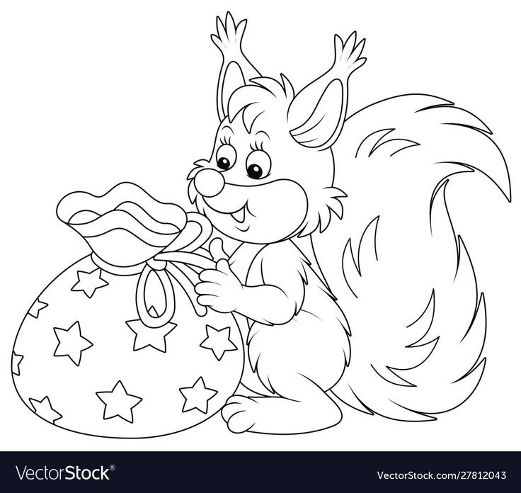 Белочка с орешком раскраска