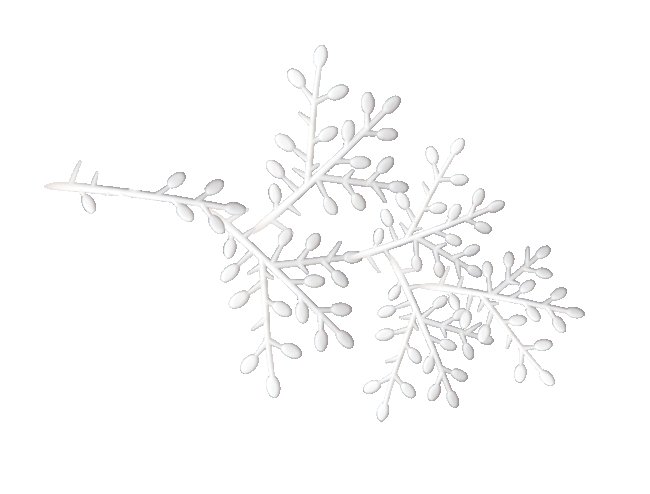 Ветка на белом фоне