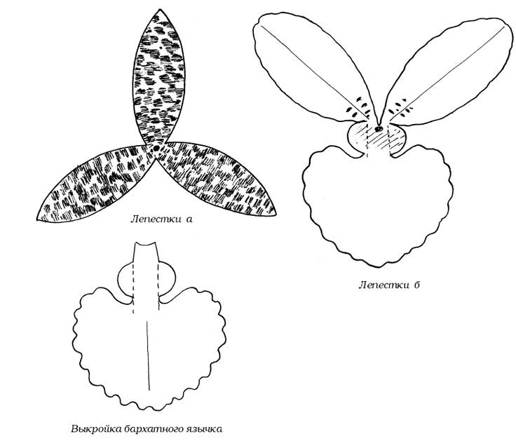 Орхидея трафарет лепестков