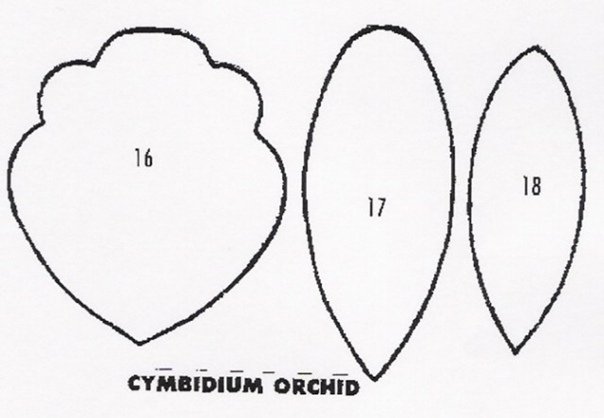 Трафарет лепестков