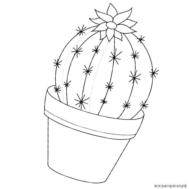 Раскраски кактусы милые