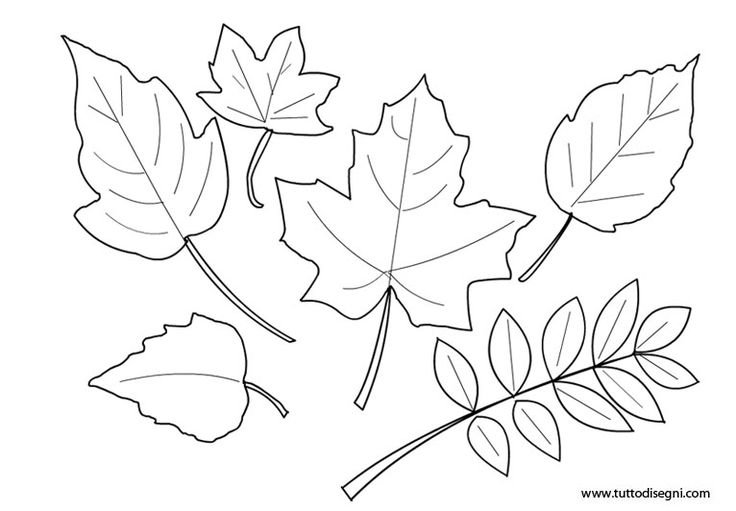 Букет из листьев шаблон