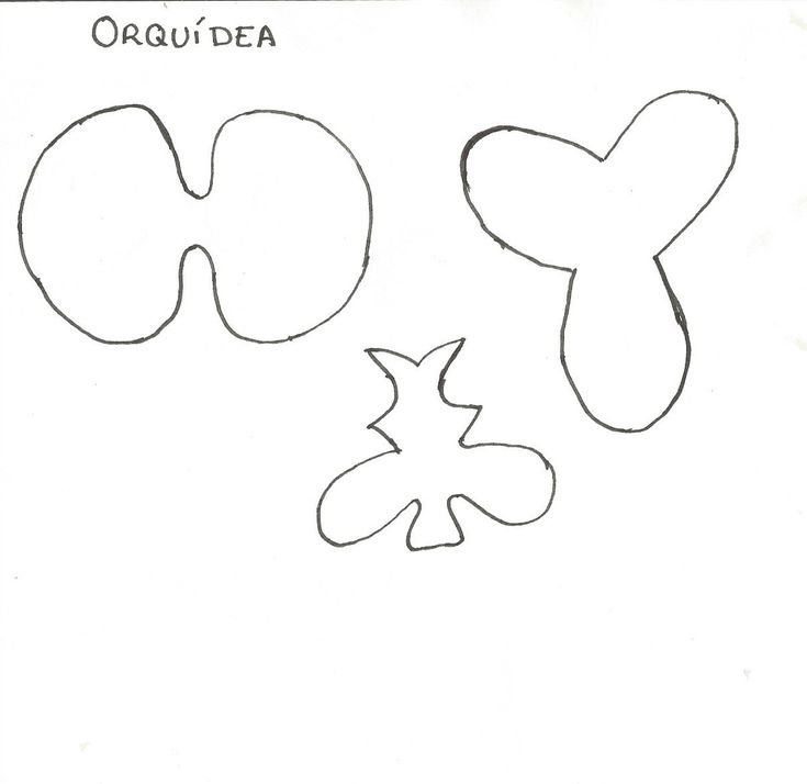 Трафарет орхидеи из фоамирана
