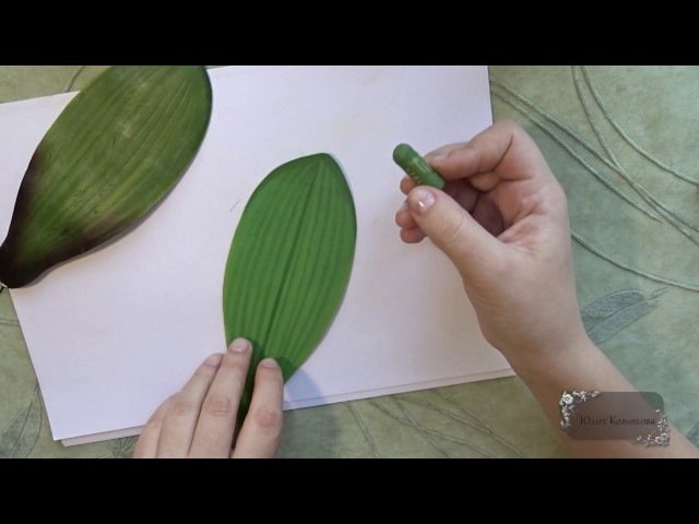 Трафарет орхидеи из фоамирана