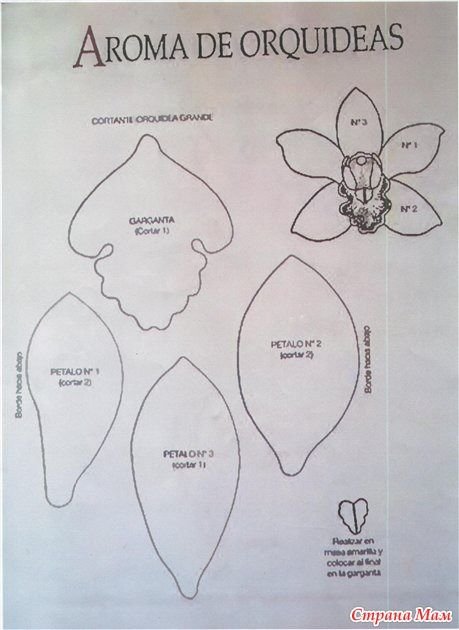 Выкройка орхидеи Каттлея
