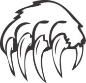 Лапа медведя раскраска