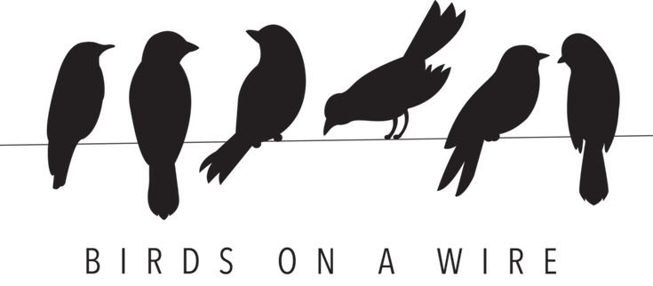 Трафарет птицы