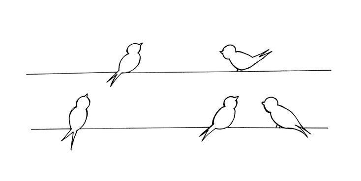 Птички на проводе раскраска