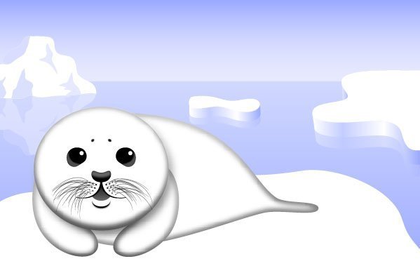 Нерпа рисунок